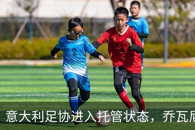 意大利足协进入托管状态，乔瓦尼·马拉戈暂任专员